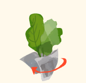step2：葉もの野菜の保存方法
