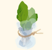 step3：葉もの野菜の保存方法